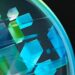 Deloitte anuncia el lanzamiento de una red unificada de inteligencia basada en agentes en Deloitte Omnia