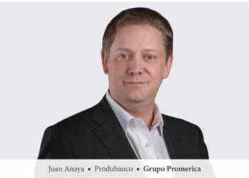 El dato como activo estratégico