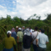 Productores de pitahaya avanzan en soluciones para plagas, agua y residuos